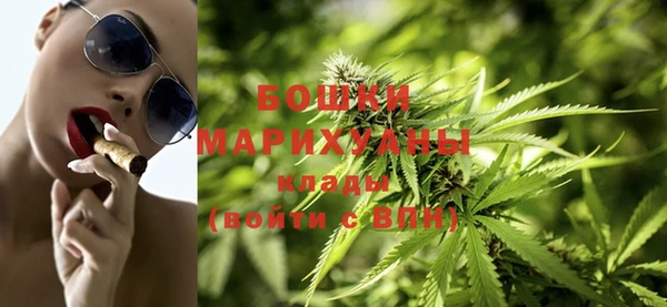 шишки Покровск