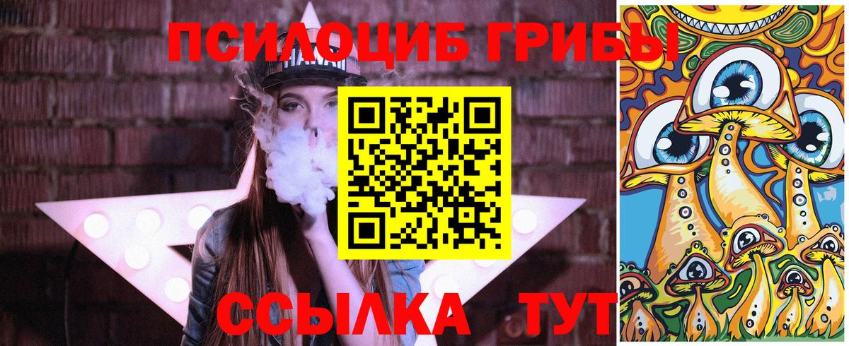 Псилоцибиновые грибы Psilocybe  Вход с VPN  Унеча 