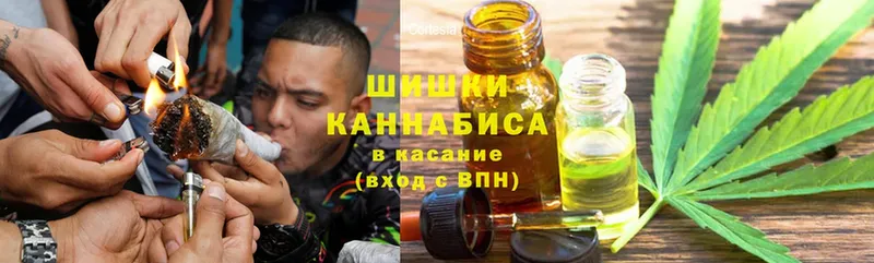 Конопля OG Kush  купить закладку  Унеча 